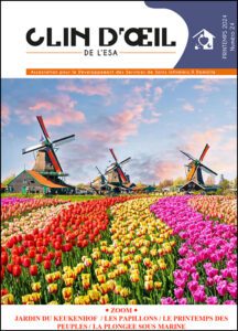 image Clin-d-oeil-printemps-2024-1